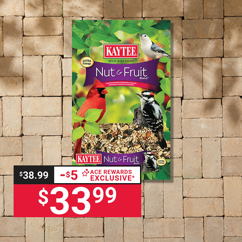 Does Ace Hardware Sell Bird Seed? Find Out Now!